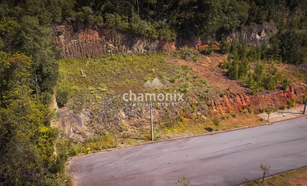 Terreno / Lote à venda, 325m2 em Flores Da Cunha - RS - imagem 3 Foto 3 de Terreno / Lote à venda, 325m2 em Flores Da Cunha - RS