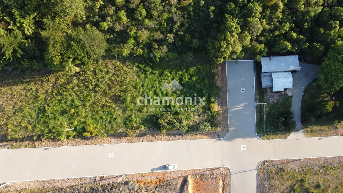 Terreno / Lote à venda, 444m2 em Flores Da Cunha - RS - imagem 3 Foto 3 de Terreno / Lote à venda, 444m2 em Flores Da Cunha - RS