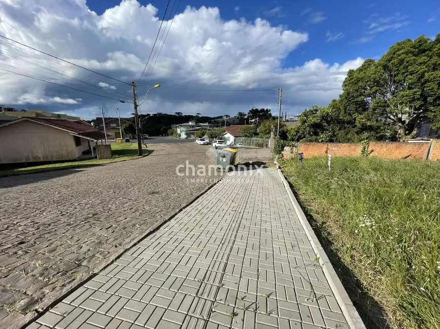 Terreno / Lote à venda, 429m2 em Flores Da Cunha - RS - imagem 7 Foto 7 de Terreno / Lote à venda, 429m2 em Flores Da Cunha - RS