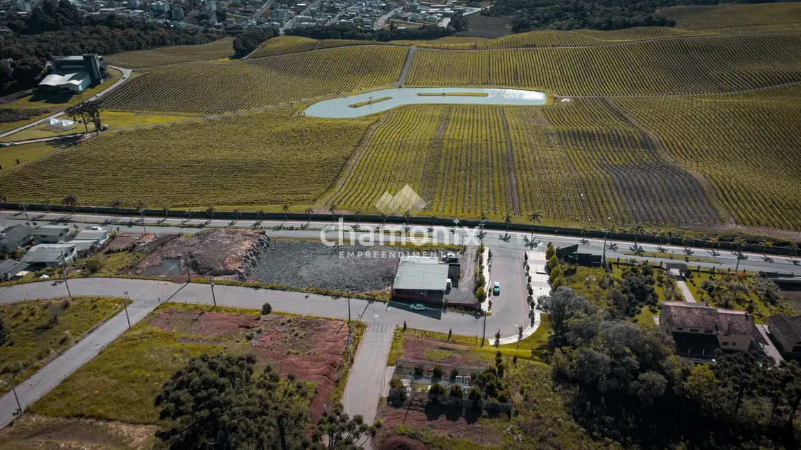 Terreno / Lote à venda, 300m2 em Flores Da Cunha - RS - imagem 6 Foto 6 de Terreno / Lote à venda, 300m2 em Flores Da Cunha - RS