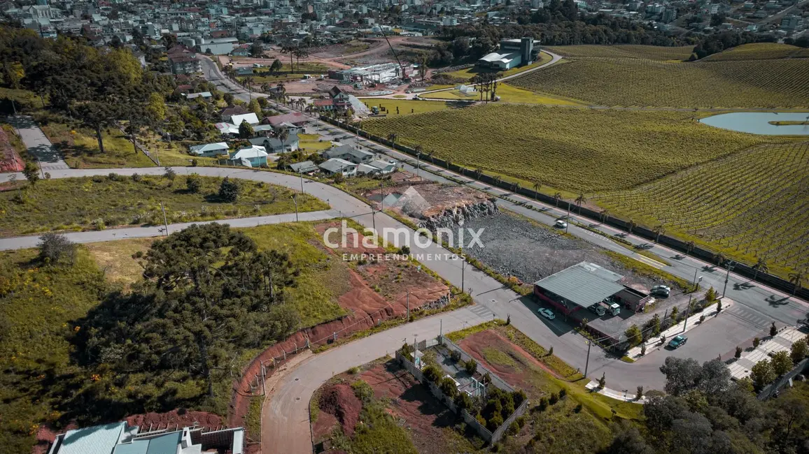 Terreno / Lote à venda, 300m2 em Flores Da Cunha - RS - imagem 8 Foto 8 de Terreno / Lote à venda, 300m2 em Flores Da Cunha - RS