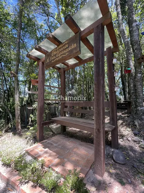 Foto 4 de Chácara com 3 quartos à venda, 6349m2 em Flores Da Cunha - RS