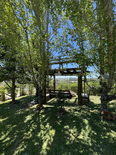 Foto 3 de Chácara com 3 quartos à venda, 6349m2 em Flores Da Cunha - RS