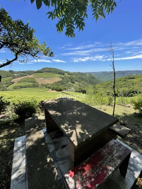 Foto 6 de Chácara com 3 quartos à venda, 6349m2 em Flores Da Cunha - RS