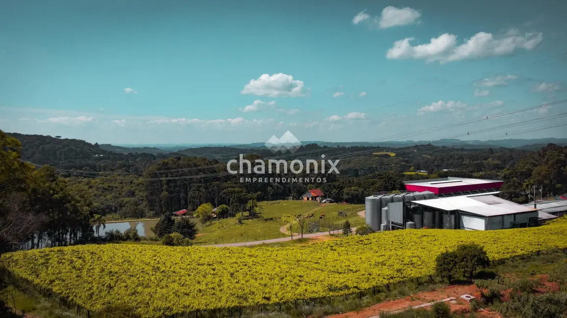 Terreno / Lote à venda, 360m2 em Flores Da Cunha - RS - imagem 6 Foto 6 de Terreno / Lote à venda, 360m2 em Flores Da Cunha - RS