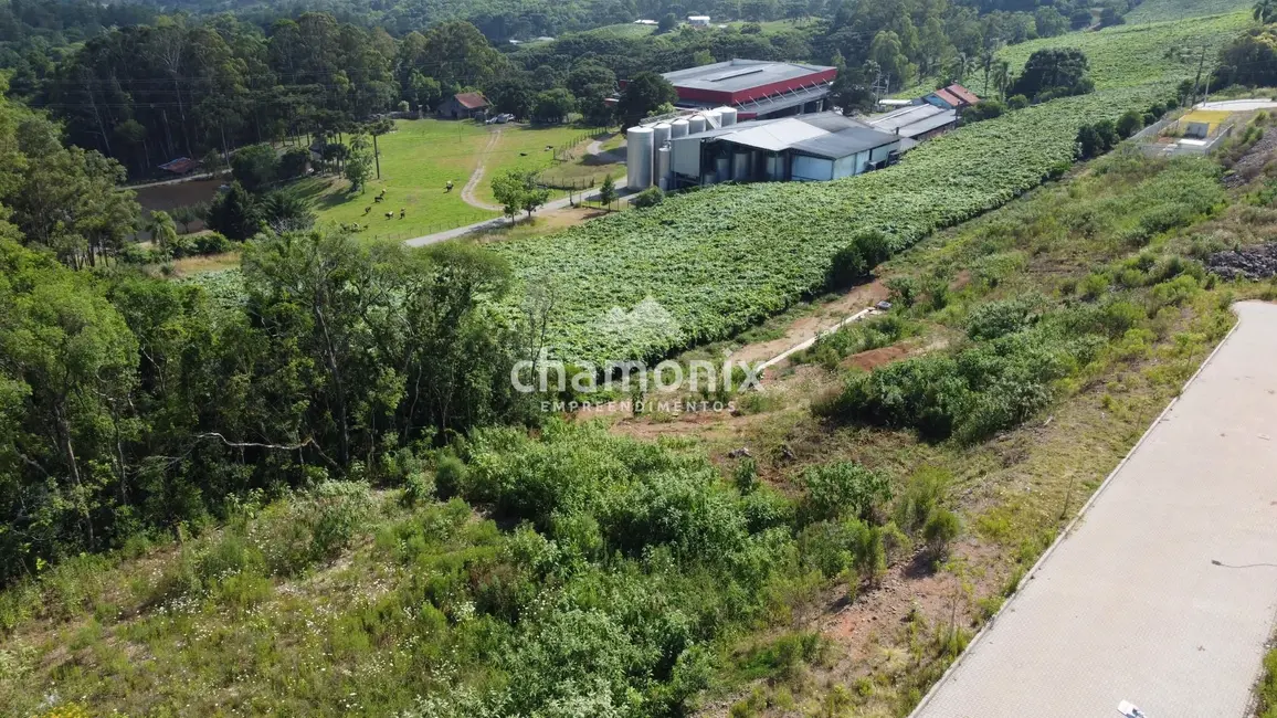 Terreno / Lote à venda, 360m2 em Flores Da Cunha - RS - imagem 3 Foto 3 de Terreno / Lote à venda, 360m2 em Flores Da Cunha - RS