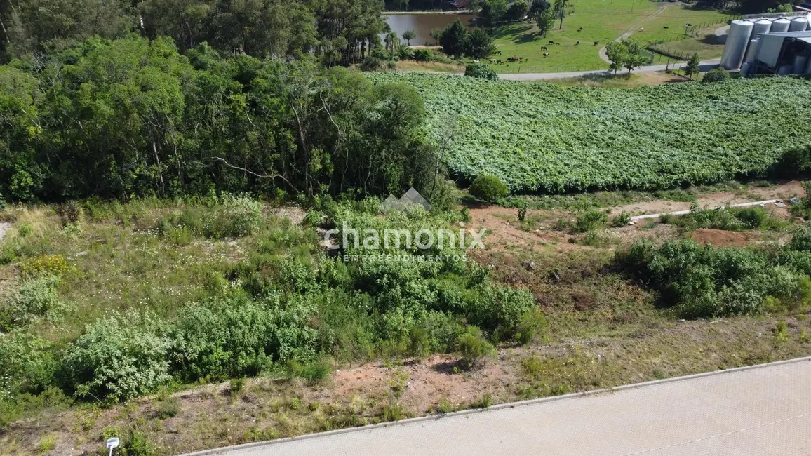 Terreno / Lote à venda, 360m2 em Flores Da Cunha - RS - imagem 5 Foto 5 de Terreno / Lote à venda, 360m2 em Flores Da Cunha - RS