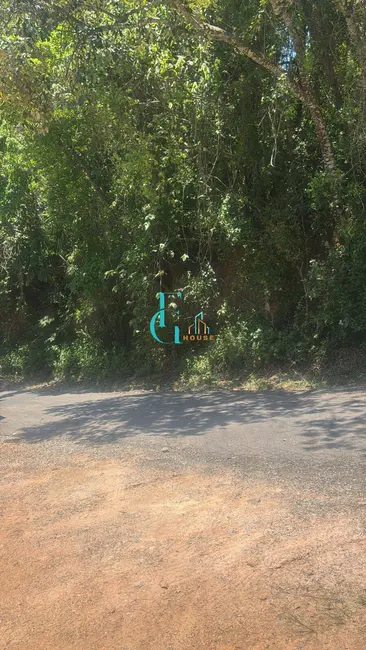 Foto 4 de Terreno / Lote à venda, 12500m2 em Parque das Rosas, Cotia - SP