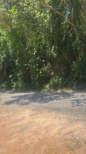 Foto 4 de Terreno / Lote à venda, 12500m2 em Parque das Rosas, Cotia - SP