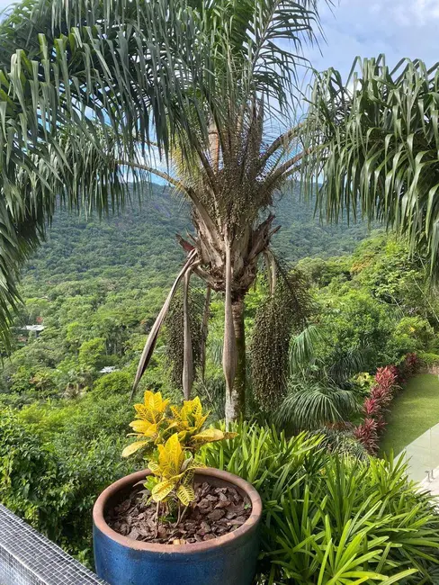 Foto 36 de Casa à venda, 5000m2 em Ubatuba - SP