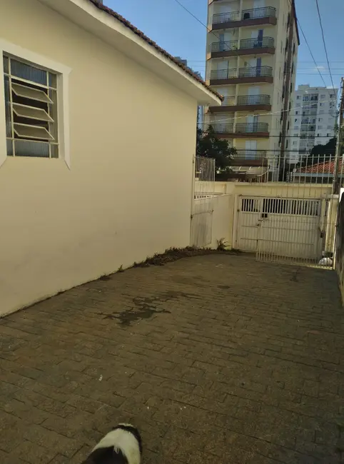 Foto 8 de Casa com 2 quartos à venda, 500m2 em Vila Osasco, Osasco - SP