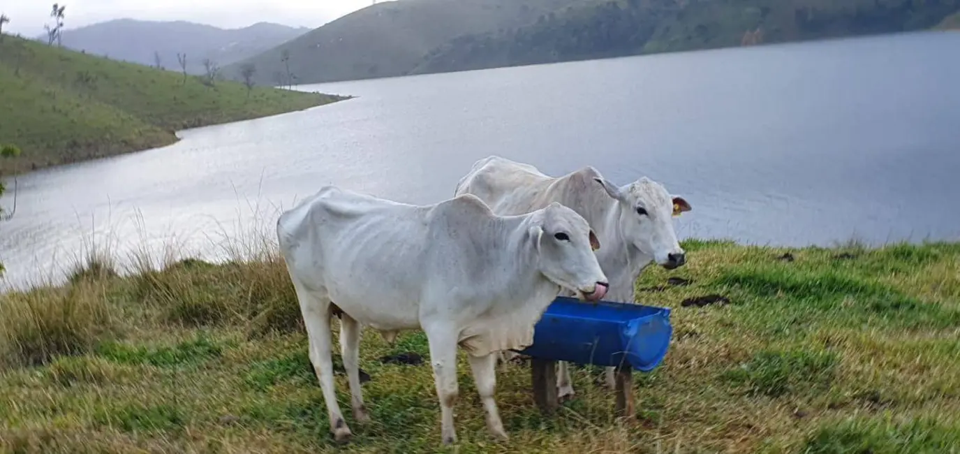 Foto 26 de Chácara à venda, 140m2 em Paraibuna - SP