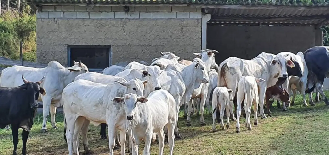 Foto 18 de Chácara à venda, 140m2 em Paraibuna - SP