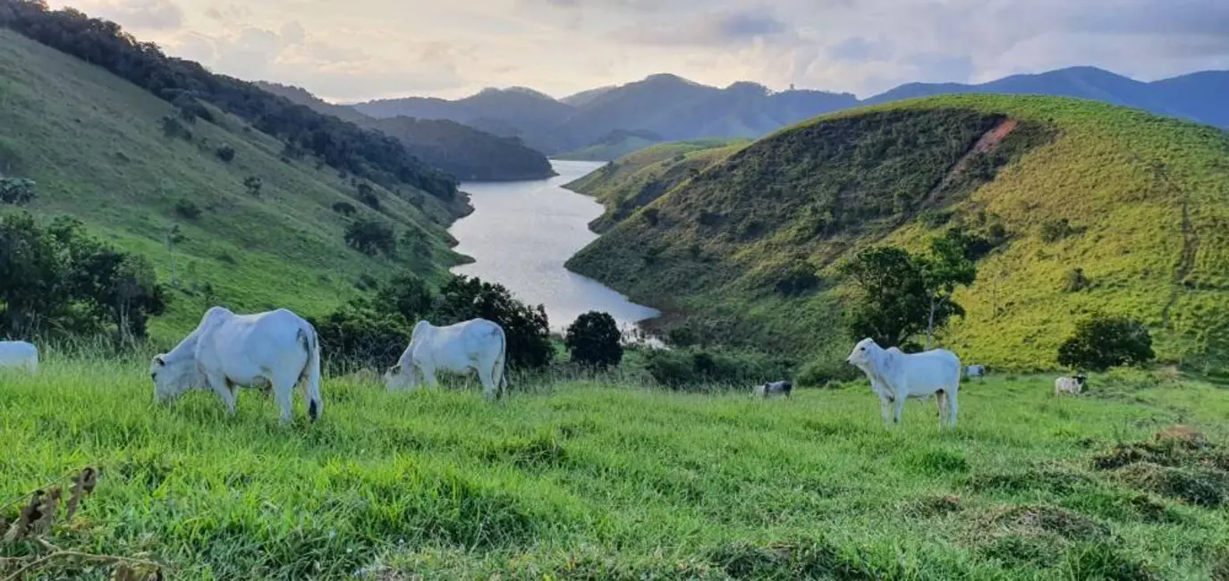 Foto 31 de Chácara à venda, 140m2 em Paraibuna - SP
