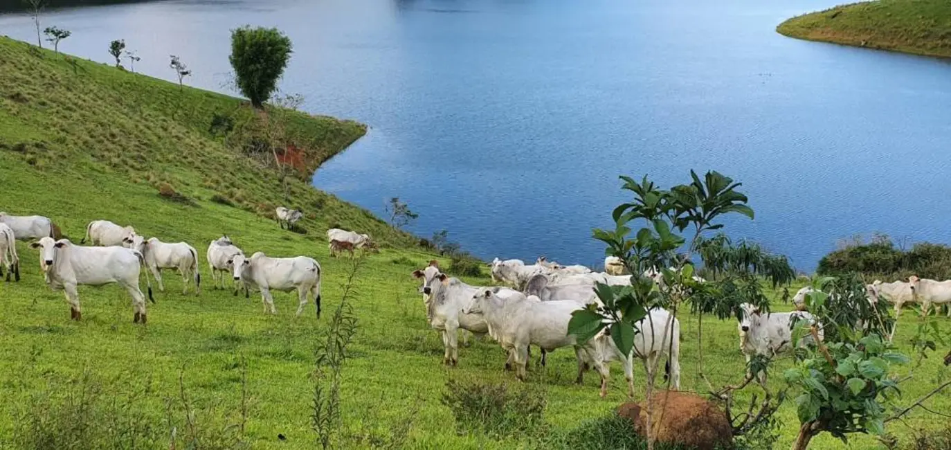 Foto 25 de Chácara à venda, 140m2 em Paraibuna - SP