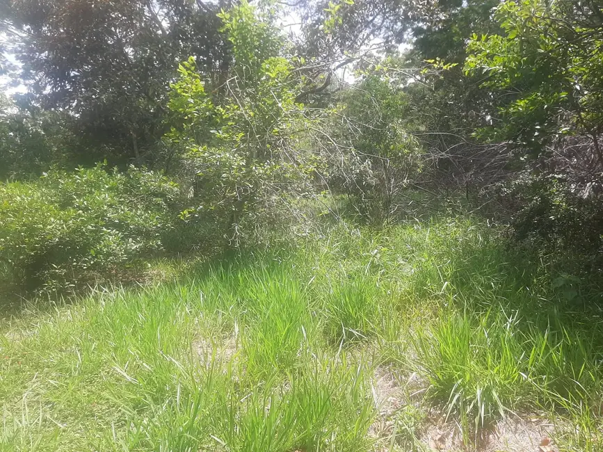 Foto 4 de Terreno / Lote à venda, 3460m2 em Centro (São João Novo), Sao Roque - SP