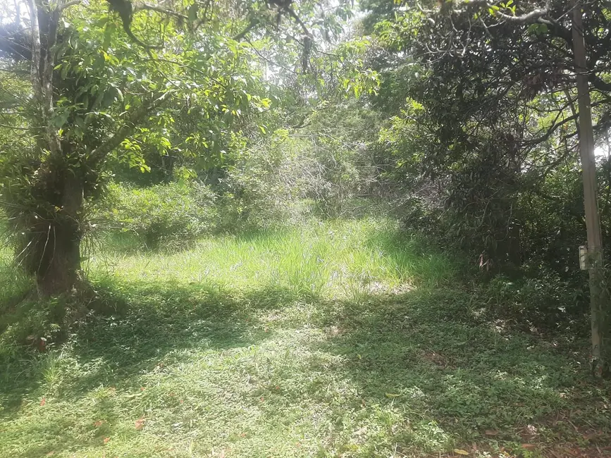 Foto 7 de Terreno / Lote à venda, 3460m2 em Centro (São João Novo), Sao Roque - SP