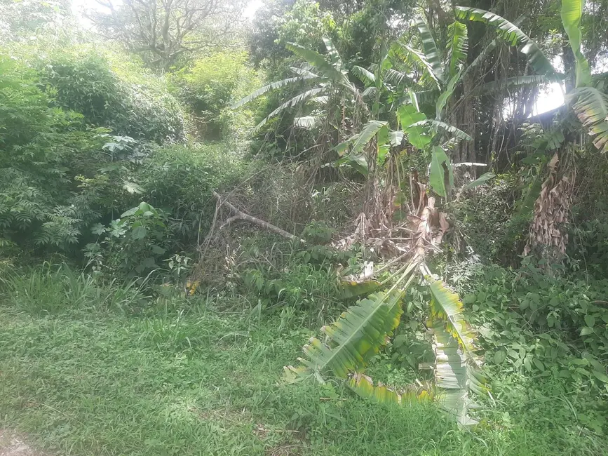 Foto 8 de Terreno / Lote à venda, 3460m2 em Centro (São João Novo), Sao Roque - SP