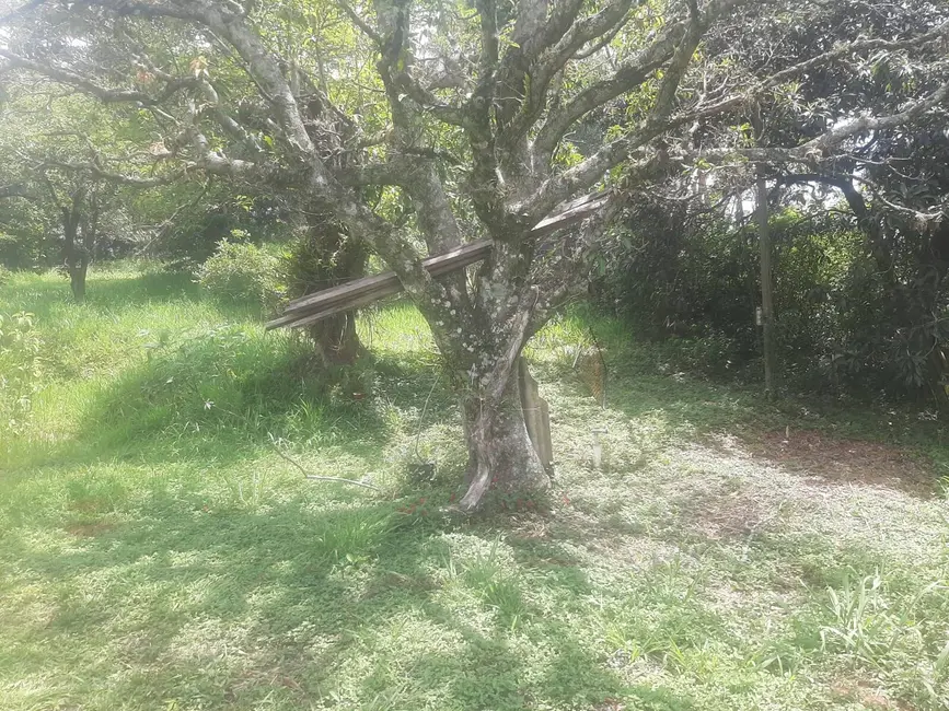 Foto 3 de Terreno / Lote à venda, 3460m2 em Centro (São João Novo), Sao Roque - SP