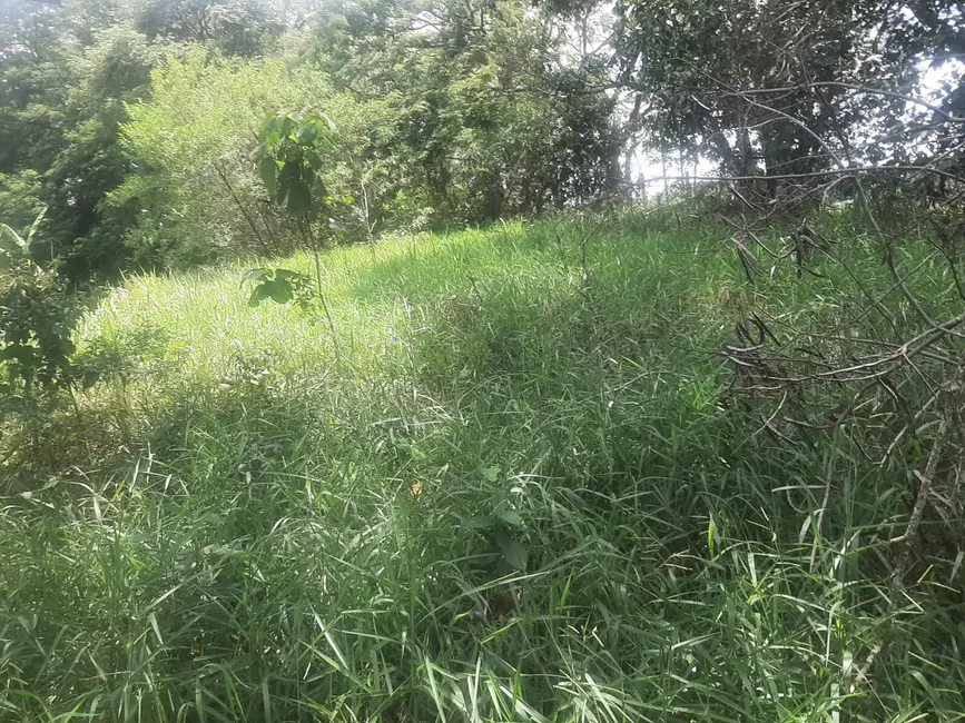 Foto 1 de Terreno / Lote à venda, 3460m2 em Centro (São João Novo), Sao Roque - SP