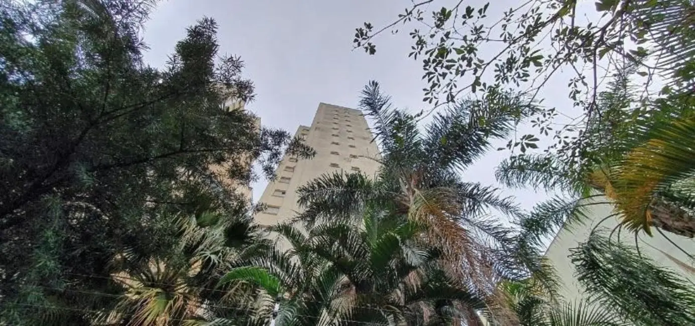 Kitnet com 1 quarto à venda, 24m2 em Campos Elíseos, São Paulo - SP - imagem 3 Foto 3 de Kitnet com 1 quarto à venda, 24m2 em Campos Elíseos, São Paulo - SP