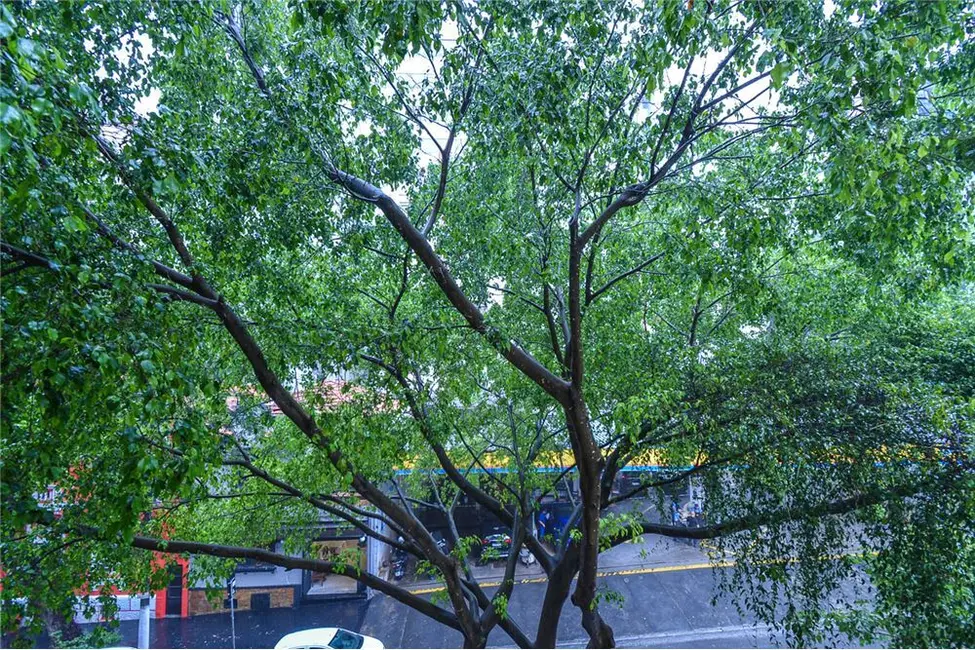 Apartamento com 1 quarto à venda, 80m2 em Consolação, São Paulo - SP - imagem 5 Foto 5 de Apartamento com 1 quarto à venda, 80m2 em Consolação, São Paulo - SP