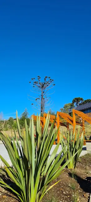 Foto 5 de Terreno / Lote à venda, 652m2 em Gramado - RS