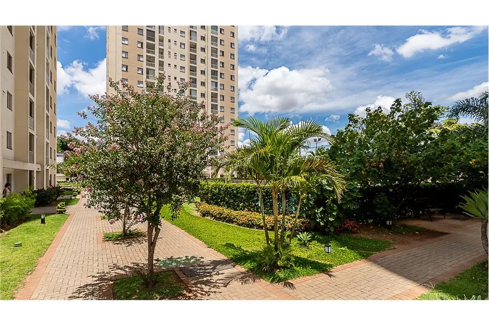 Apartamento com 3 quartos à venda, 65m2 em Água Branca, São Paulo - SP - imagem 9 Foto 9 de Apartamento com 3 quartos à venda, 65m2 em Água Branca, São Paulo - SP