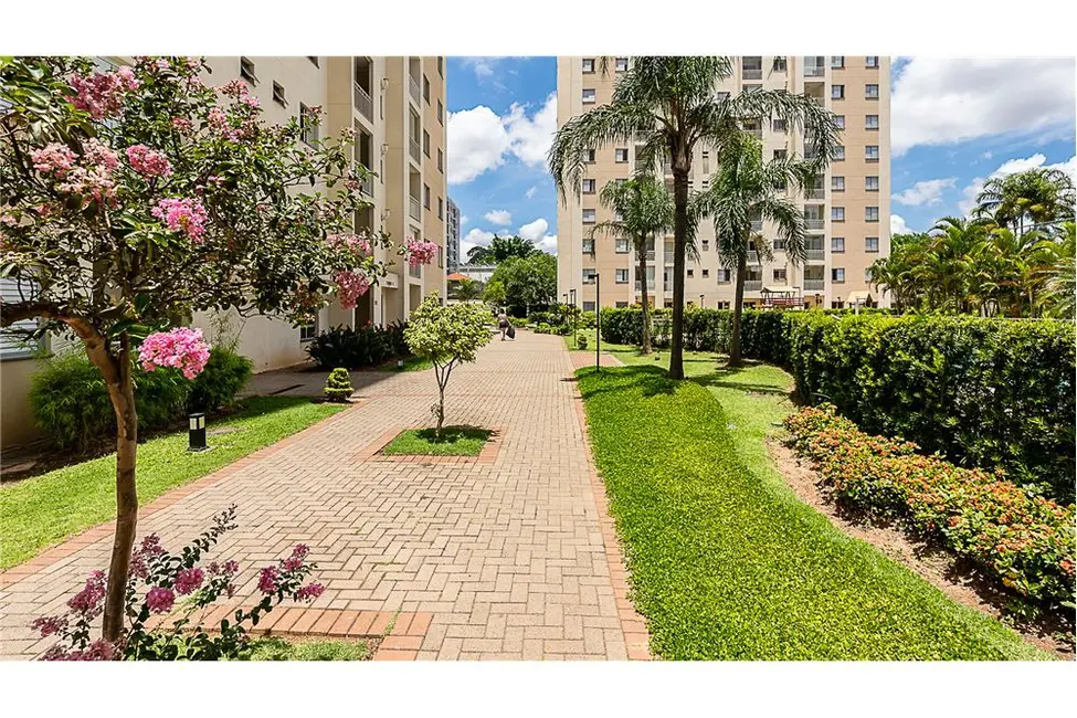 Apartamento com 3 quartos à venda, 65m2 em Água Branca, São Paulo - SP - imagem 8 Foto 8 de Apartamento com 3 quartos à venda, 65m2 em Água Branca, São Paulo - SP