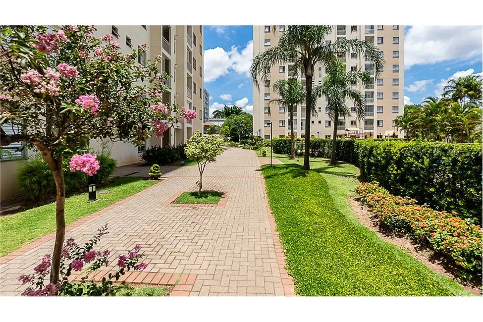 Apartamento com 3 quartos à venda, 65m2 em Água Branca, São Paulo - SP - imagem 7 Foto 7 de Apartamento com 3 quartos à venda, 65m2 em Água Branca, São Paulo - SP