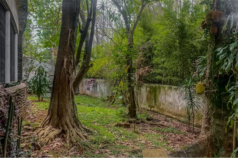 Foto 6 de Casa com 3 quartos à venda, 300m2 em Pacaembu, São Paulo - SP