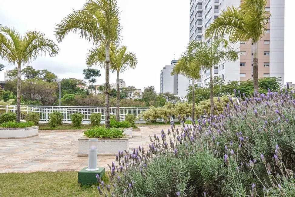 Foto 7 de Apartamento com 4 quartos à venda, 171m2 em Aclimação, São Paulo - SP