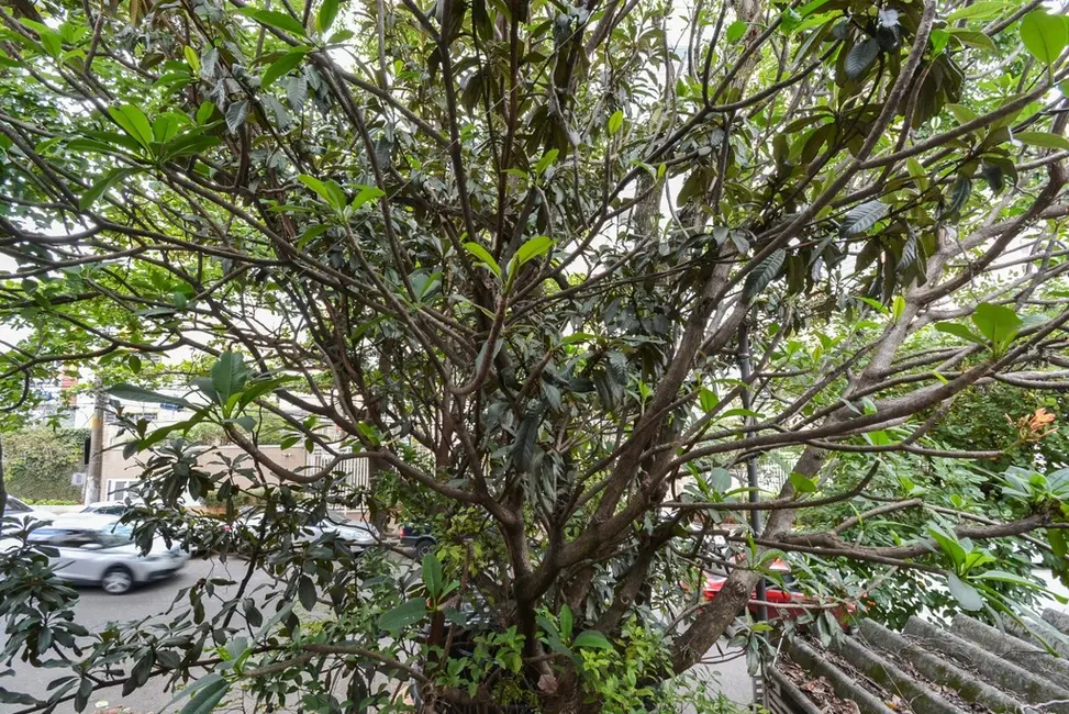 Foto 8 de Casa com 3 quartos à venda, 96m2 em Perdizes, São Paulo - SP