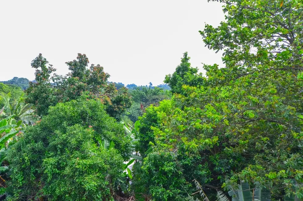 Casa de Condomínio com 4 quartos à venda, 270m2 em Brooklin Paulista, São Paulo - SP - imagem 4 Foto 4 de Casa de Condomínio com 4 quartos à venda, 270m2 em Brooklin Paulista, São Paulo - SP