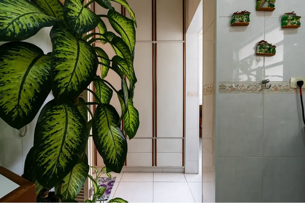 Foto 8 de Apartamento com 2 quartos à venda, 73m2 em Indianópolis, São Paulo - SP