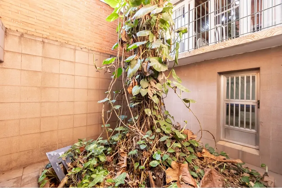 Foto 2 de Casa com 4 quartos à venda, 350m2 em Vila Guarani (Z Sul), São Paulo - SP