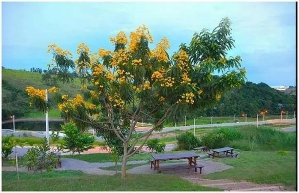 Foto 8 de Terreno / Lote à venda, 400m2 em Itatiba - SP