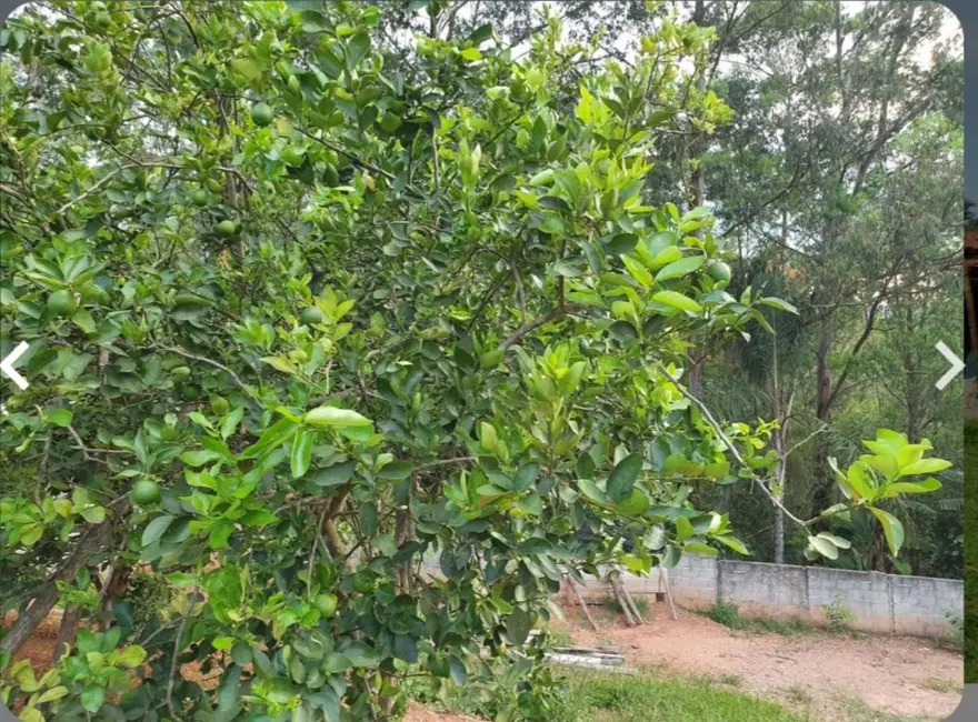 Chácara com 2 quartos à venda, 155m2 em Vivendas do Engenho DÁgua, Itatiba - SP - imagem 9 Foto 9 de Chácara com 2 quartos à venda, 155m2 em Vivendas do Engenho DÁgua, Itatiba - SP