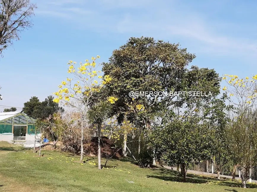 Foto 3 de Sítio / Rancho com 3 quartos à venda, 10000m2 em Sítio da Moenda, Itatiba - SP