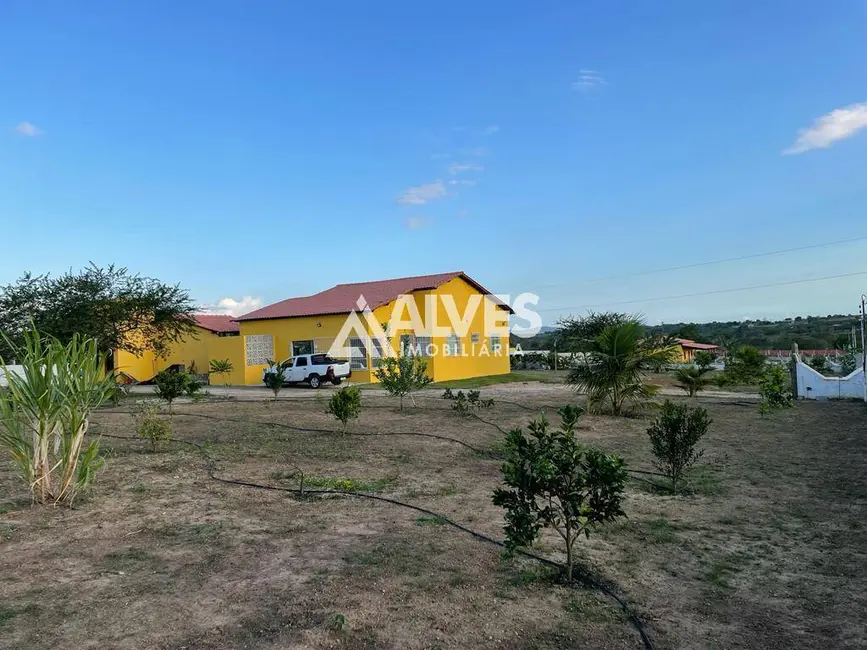 Chácara com 4 quartos à venda, 132m2 em Coracao De Maria - BA - imagem 8 Foto 8 de Chácara com 4 quartos à venda, 132m2 em Coracao De Maria - BA