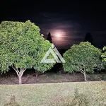 Imagem 11