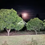 Imagem 11