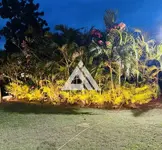 Imagem 14