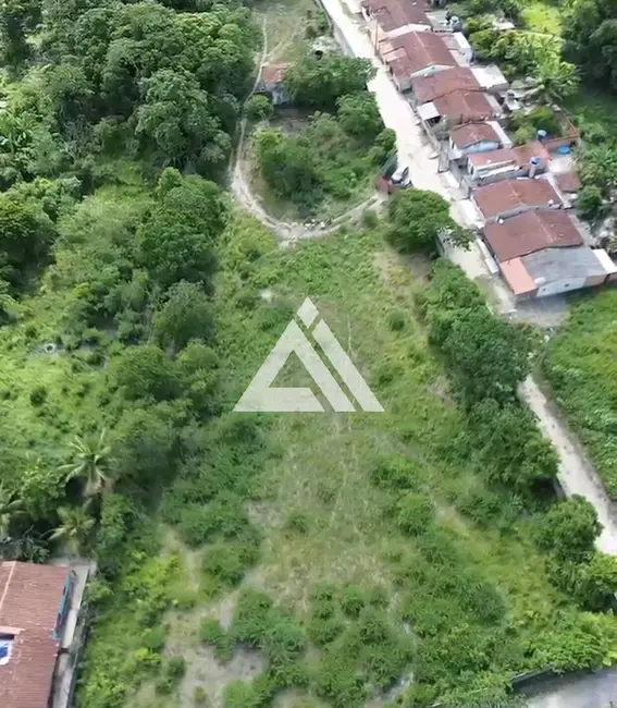 Foto 3 de Terreno / Lote à venda, 7531m2 em Amelia Rodrigues - BA