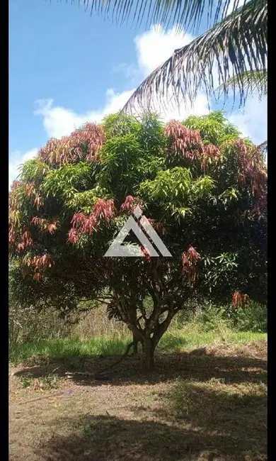 Foto 5 de Terreno / Lote à venda, 13000m2 em Amelia Rodrigues - BA
