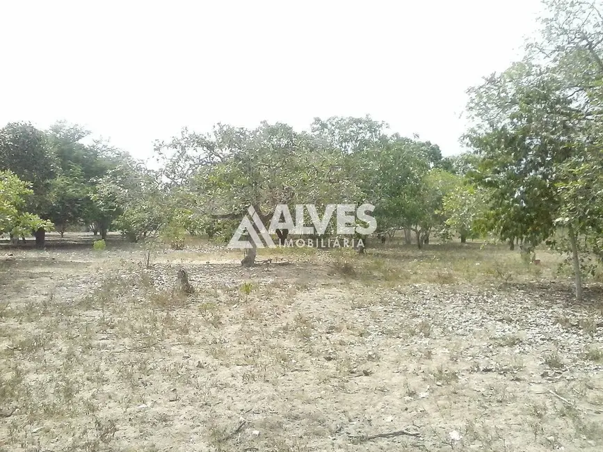 Foto 5 de Terreno / Lote à venda, 10000m2 em Feira De Santana - BA