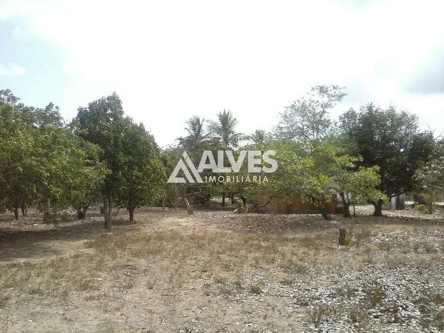 Foto 6 de Terreno / Lote à venda, 10000m2 em Feira De Santana - BA