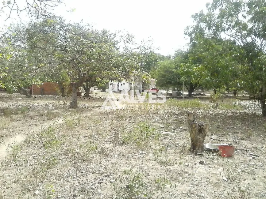 Foto 3 de Terreno / Lote à venda, 10000m2 em Feira De Santana - BA