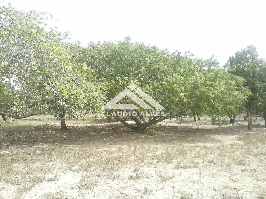 Terreno / Lote à venda, 10000m2 em Feira De Santana - BA - imagem 7 Foto 7 de Terreno / Lote à venda, 10000m2 em Feira De Santana - BA