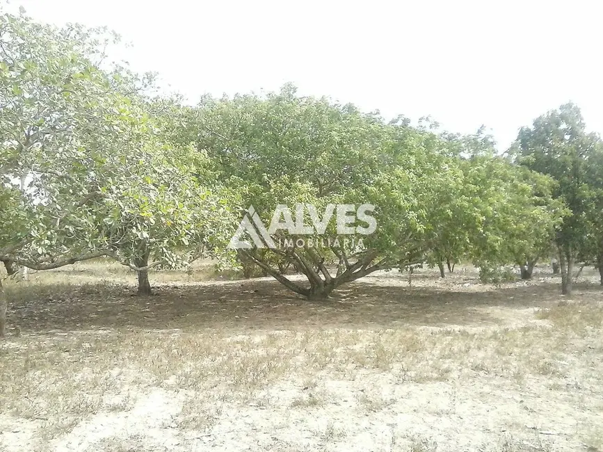 Foto 7 de Terreno / Lote à venda, 10000m2 em Feira De Santana - BA